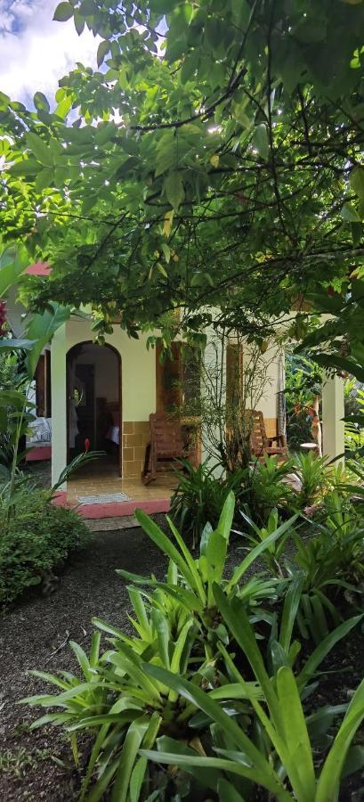 Cabinas Tito Кауита Экстерьер фото